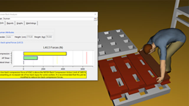 3D ergonomic simulation depicting a manual material handling task, likely used to assess the risk of lower back injury during lifting or bending