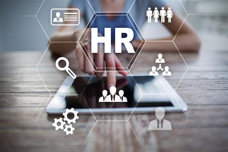 HR Consulting Services